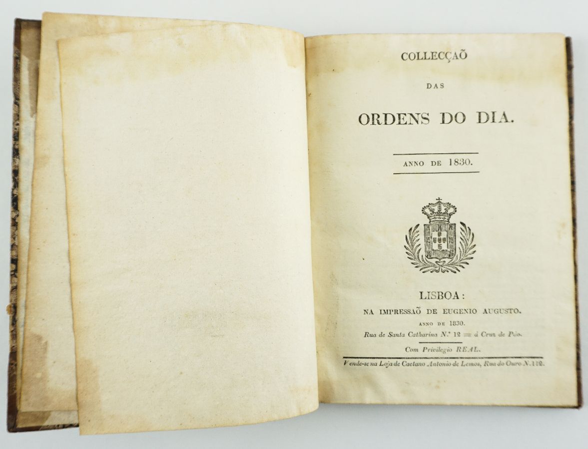 Exército de D. Miguel (1830)