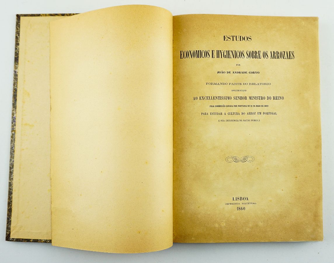 Estudos Económicos e Hygienicos sobre os Arrozaes – 1860