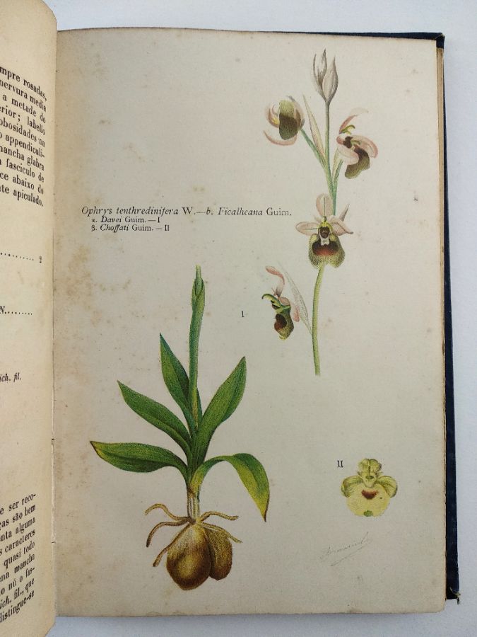Orchidiographia Portugueza (1887)