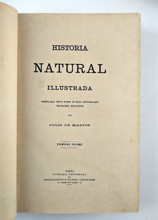 Júlio de Mattos