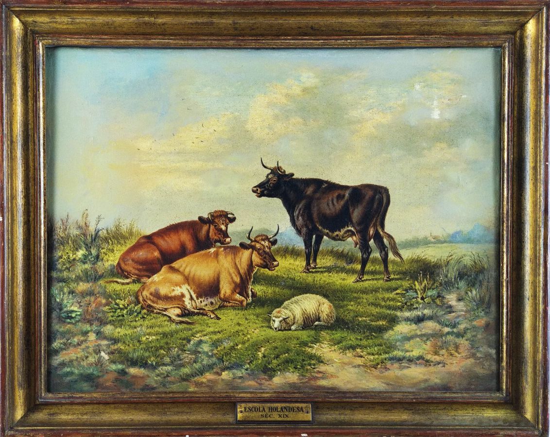 Vacas e Ovelha