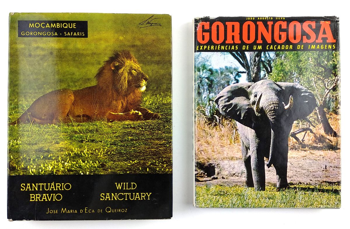 Gorongosa – Moçambique