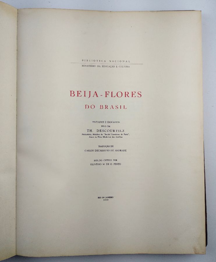 Beija – Flores do Brasil