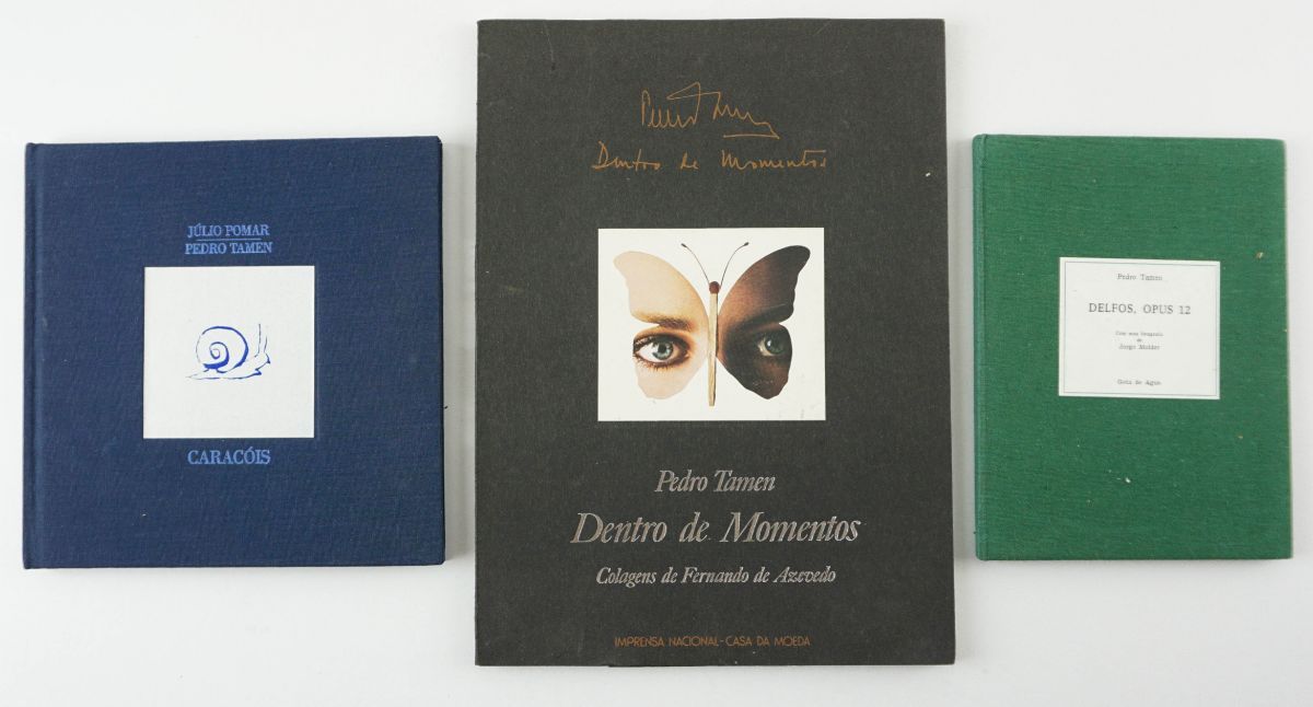 Pedro Támen – livros de artista