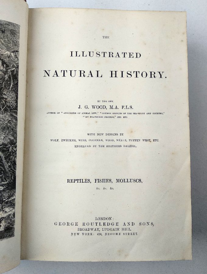 Natural History