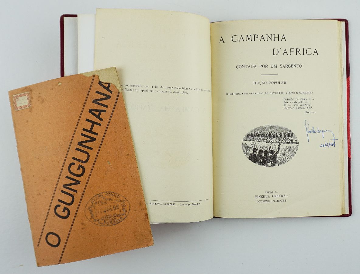 Campanha de 1895 em Moçambique