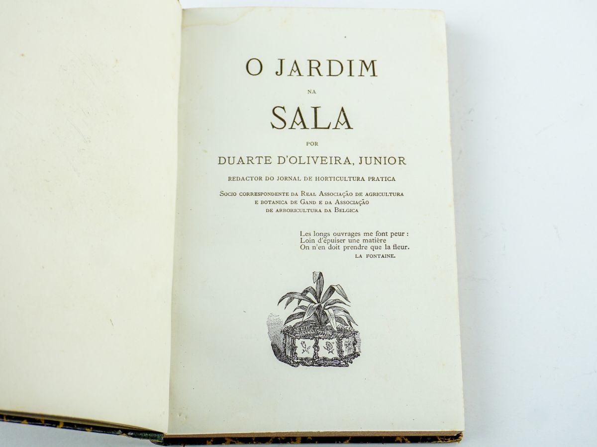 O Jardim na Sala (1876)