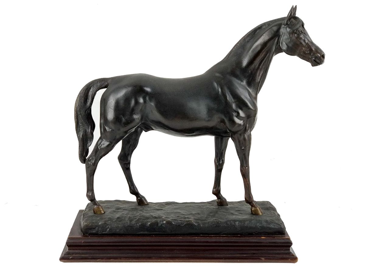 Cavalo