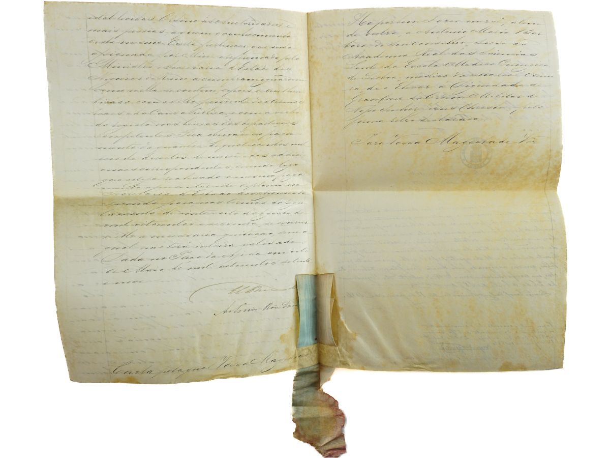 Carta Régia do Rei D. Luis I, assinada