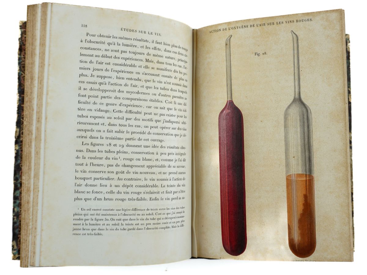 M. L. Pasteur - Études sur le Vin (1866)