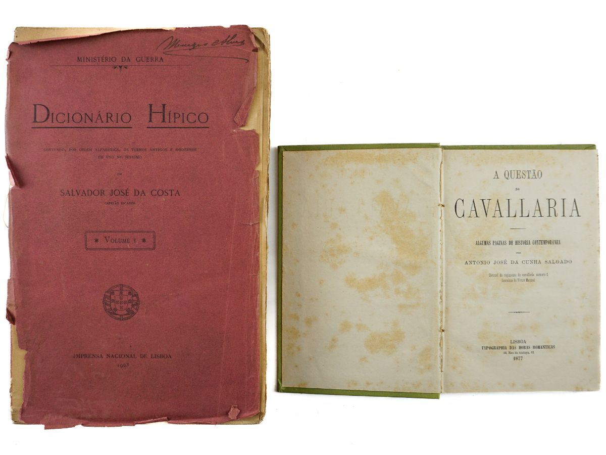 Cavalos e Hipismo