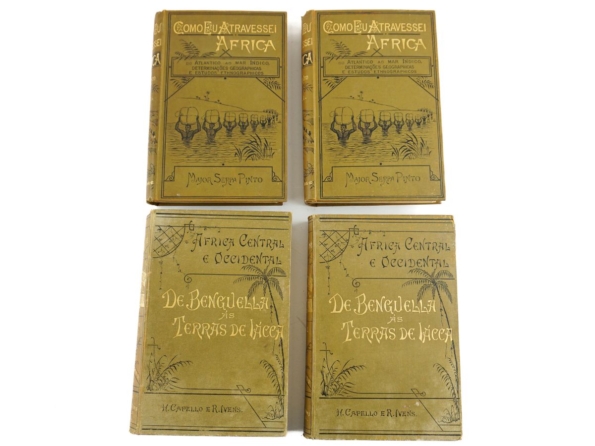 Explorações em África no Séc. XIX
