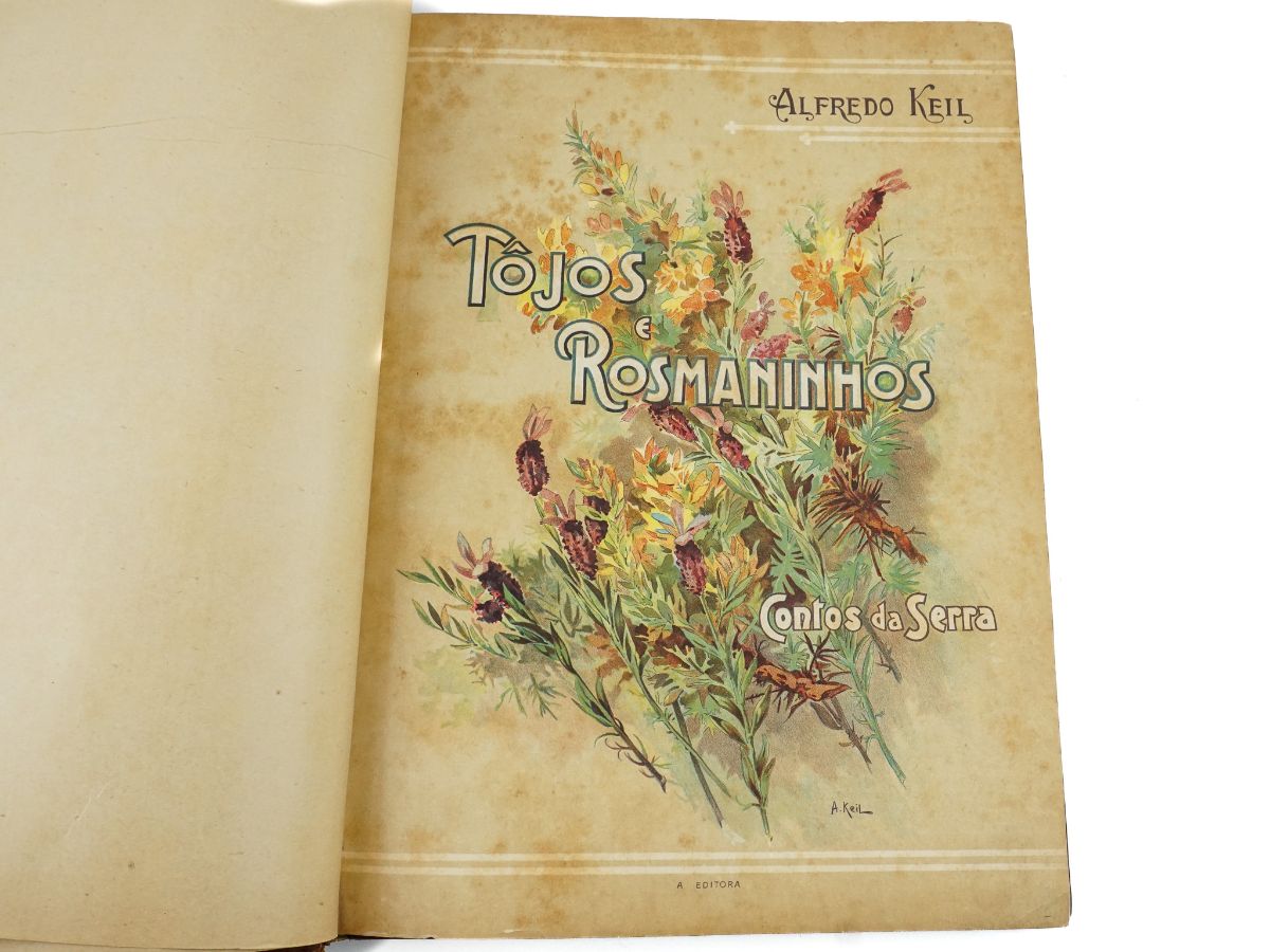 Tojos e Rosmaninhos