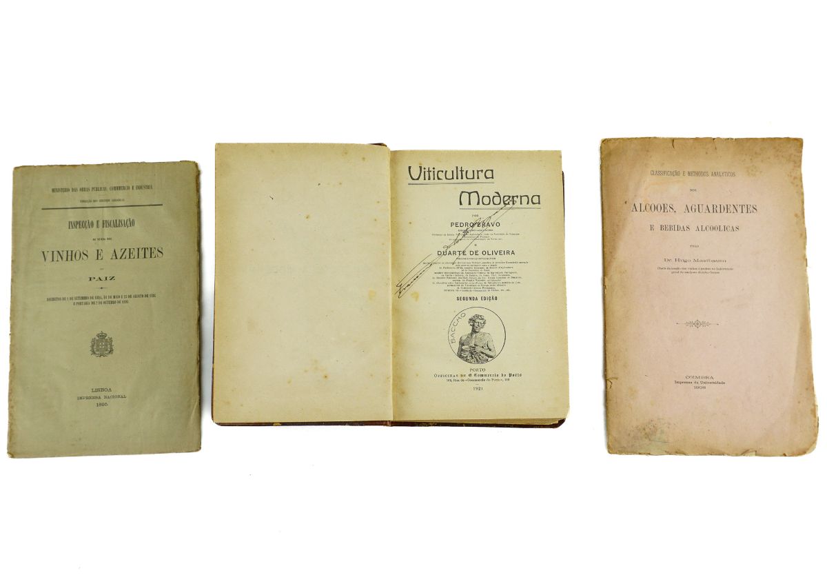 Viticultura Moderna 