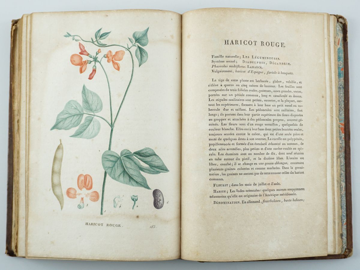 Plantes de la France (1808-1809)