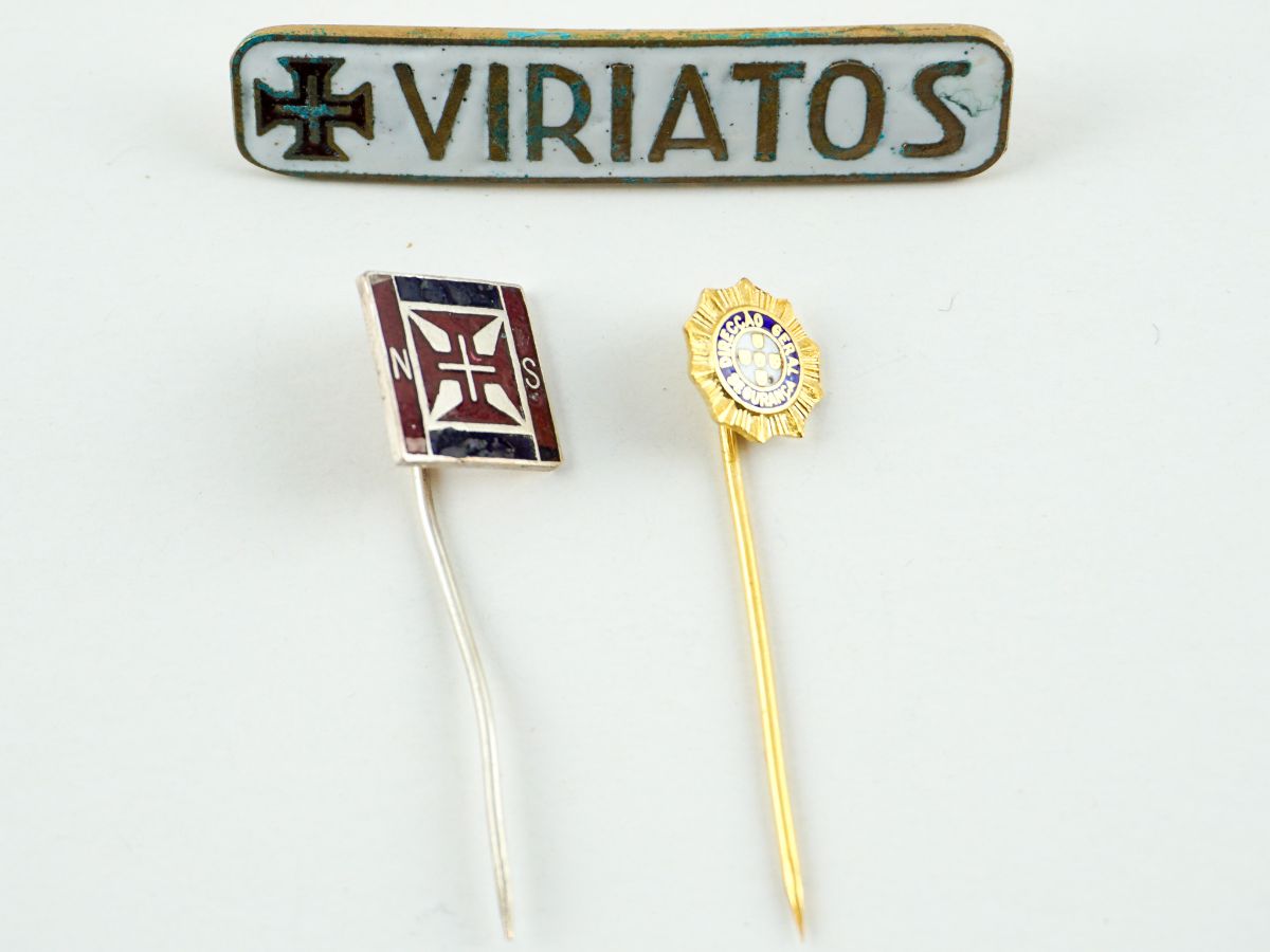Viriatos, Nacional Sindicalismo e DGS