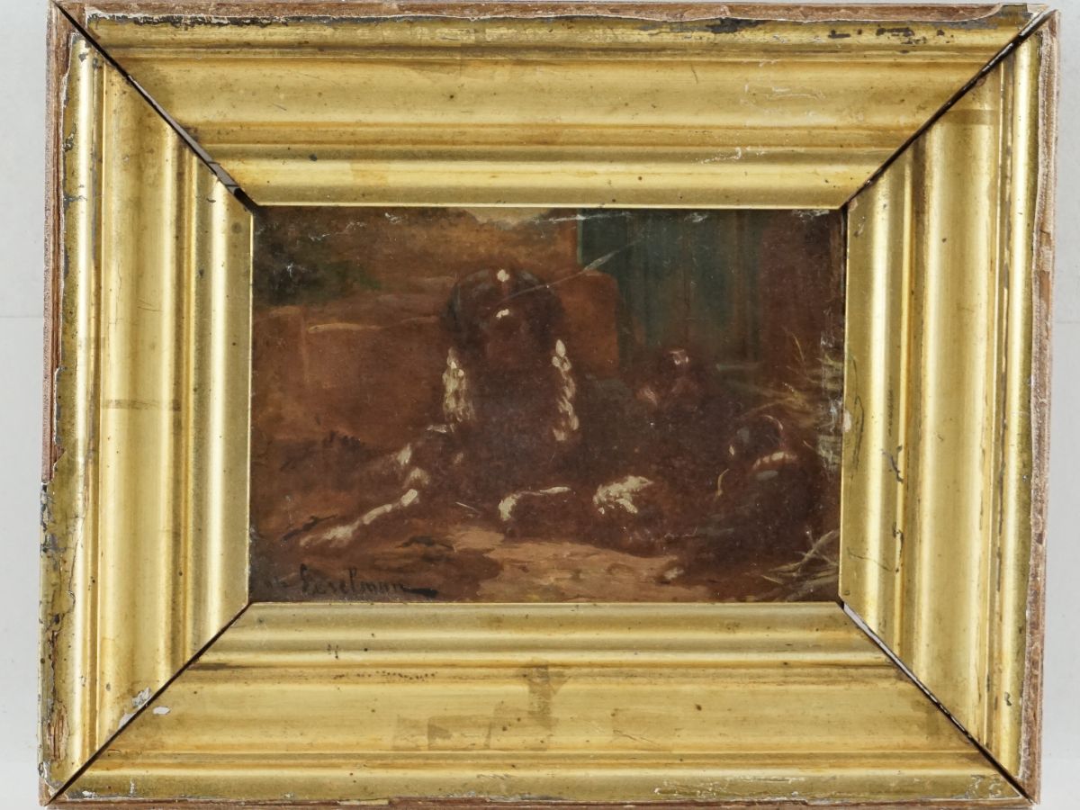 Cão