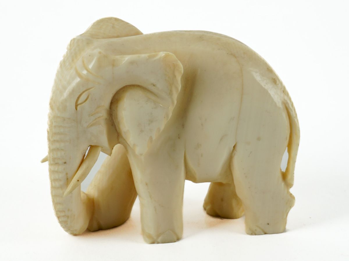 Elefante