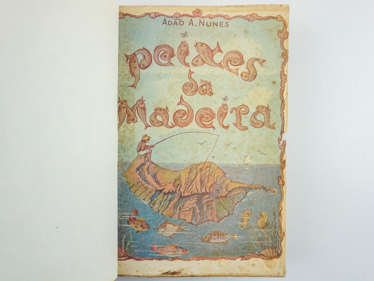 Peixes da Madeira