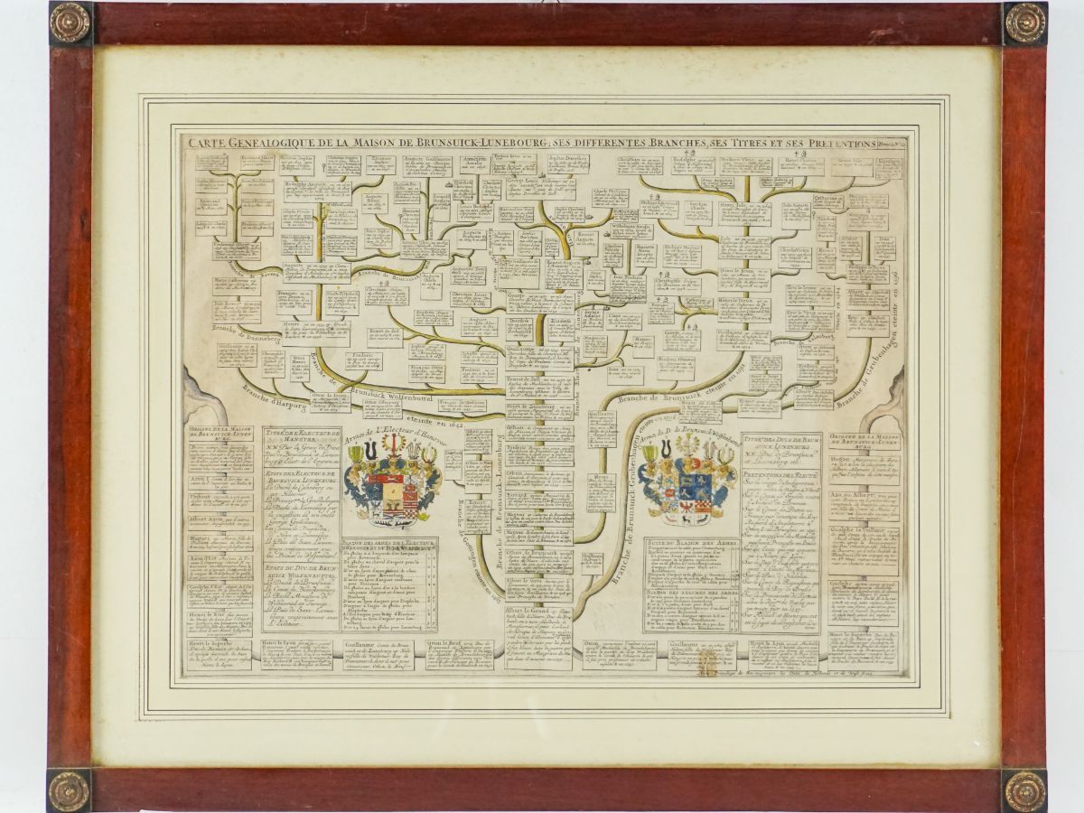 Carte Genealogique