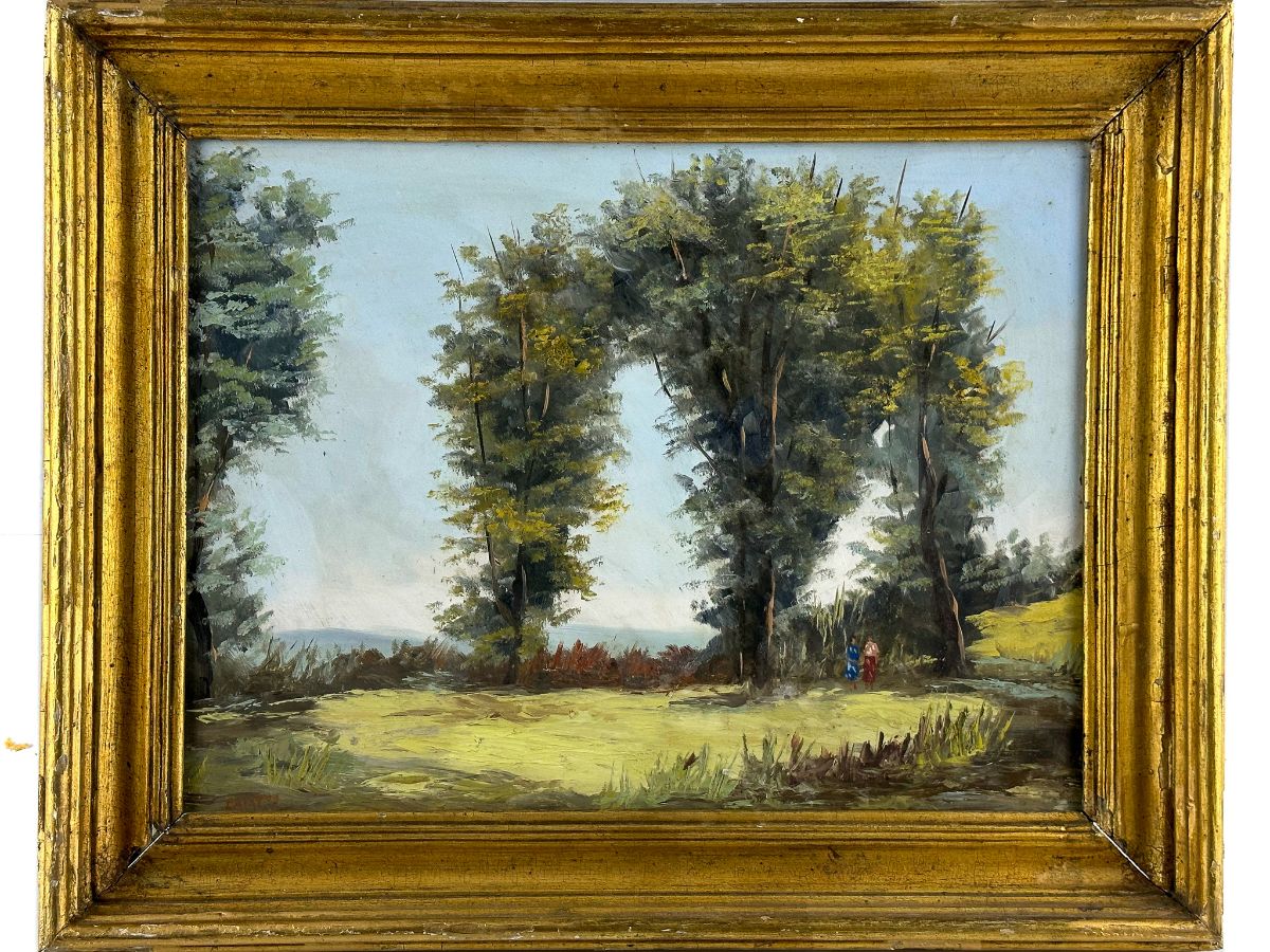 Campos