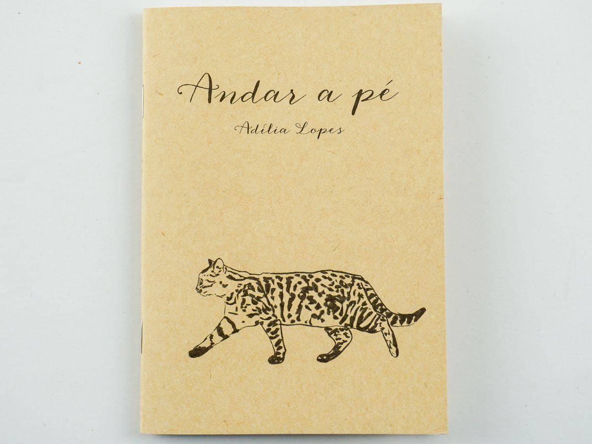 Adilia Lopes – Primeira edição