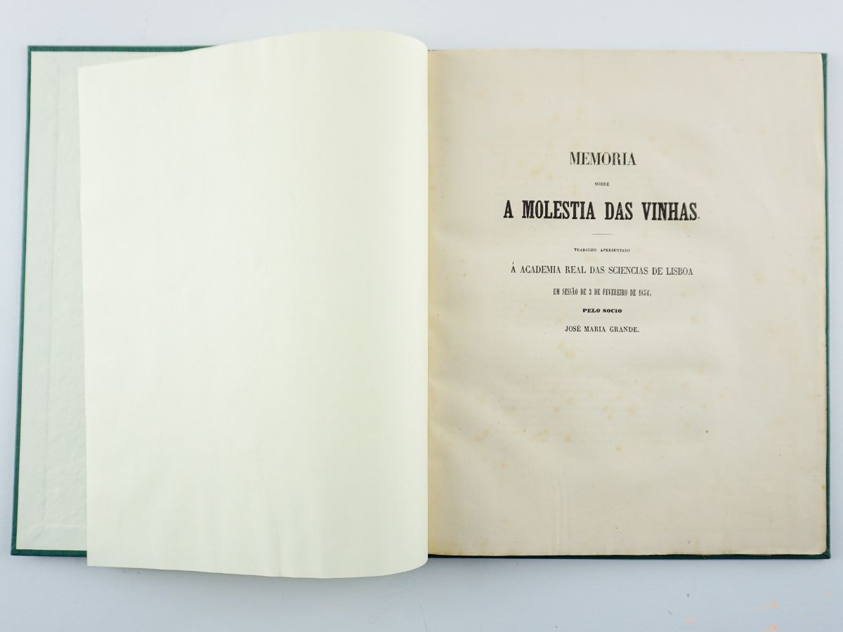 Memória sobre a Moléstia das Vinhas (1854)