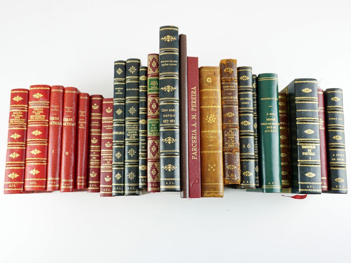 Conjunto de livros de autores portugueses