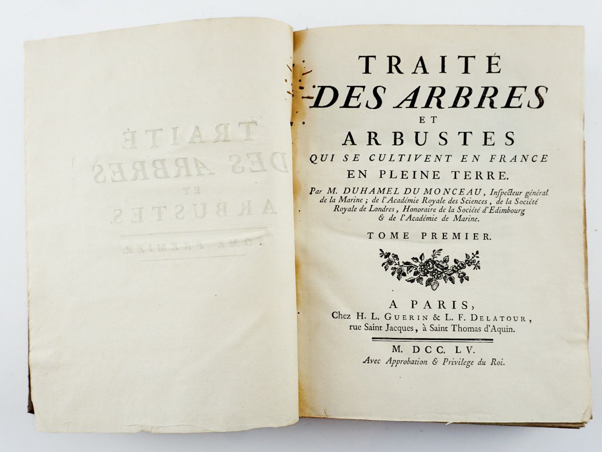 Traité des Arbres et Arbustes par M. Duhamel du Monceau,