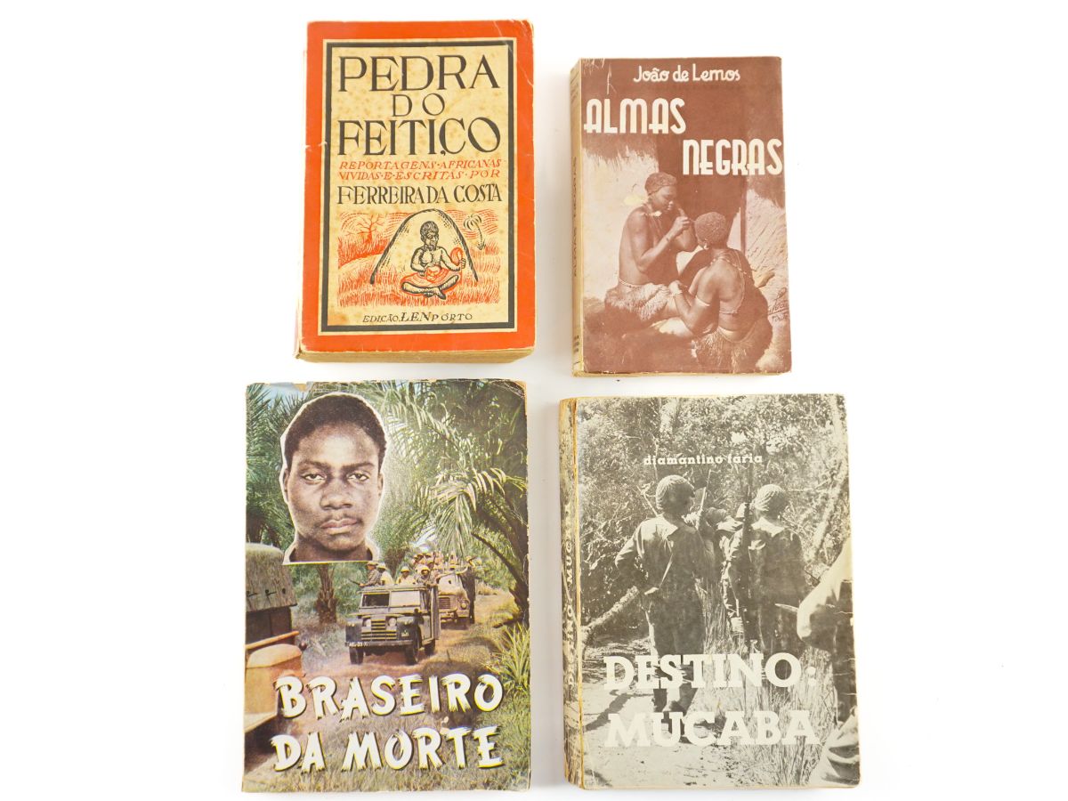 Livros sobre Africa, 4 livros