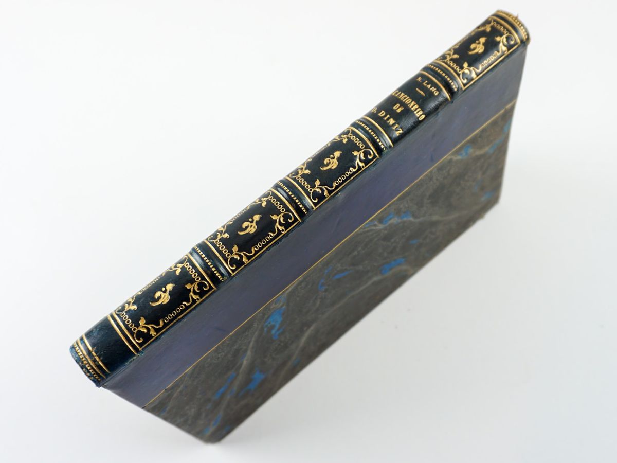 O Cancioneiro de D. Diniz (1894)