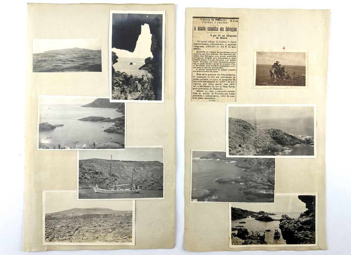 Fotografias Ilha da Madeira e Selvagens 1920