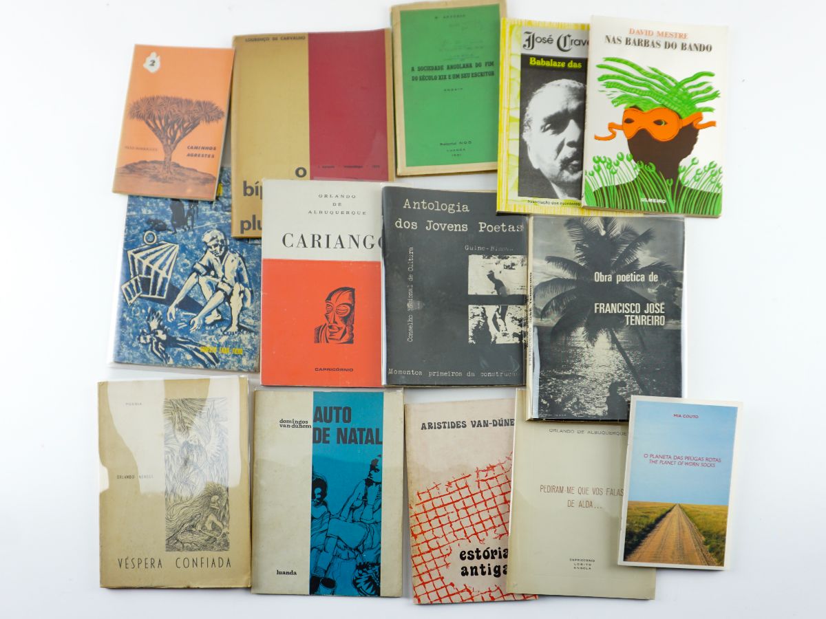 Poesia e Literatura Africana de Expressão Portuguesa