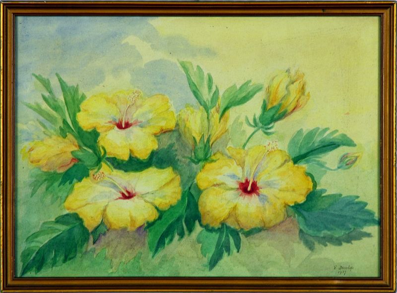 E. Dunlop
