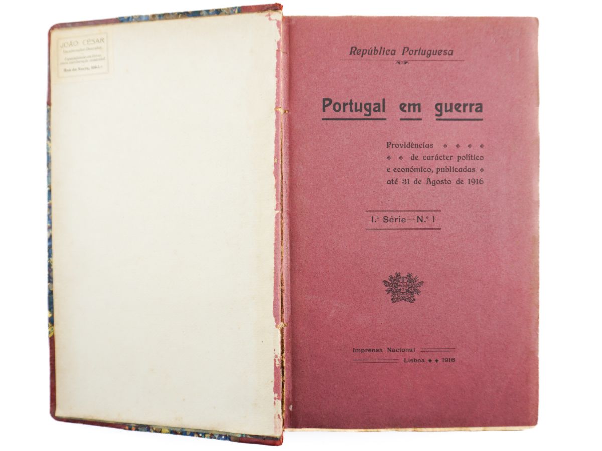 Portugal na Grande Guerra (1916-1917)