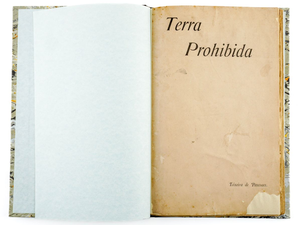 Teixeira de Pascoaes