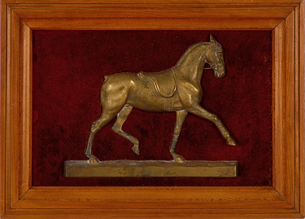 Perfil de Cavalo