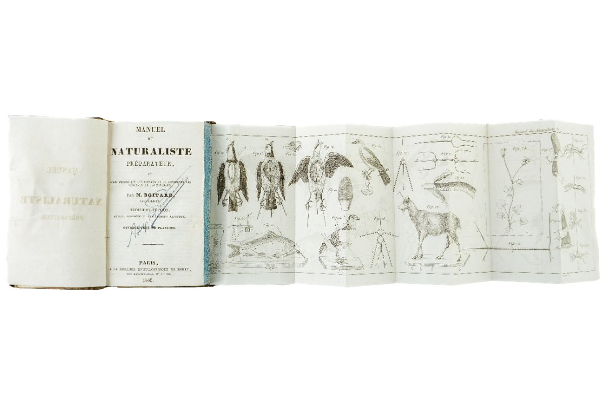 Manuel du Naturaliste Prépateur (1835)