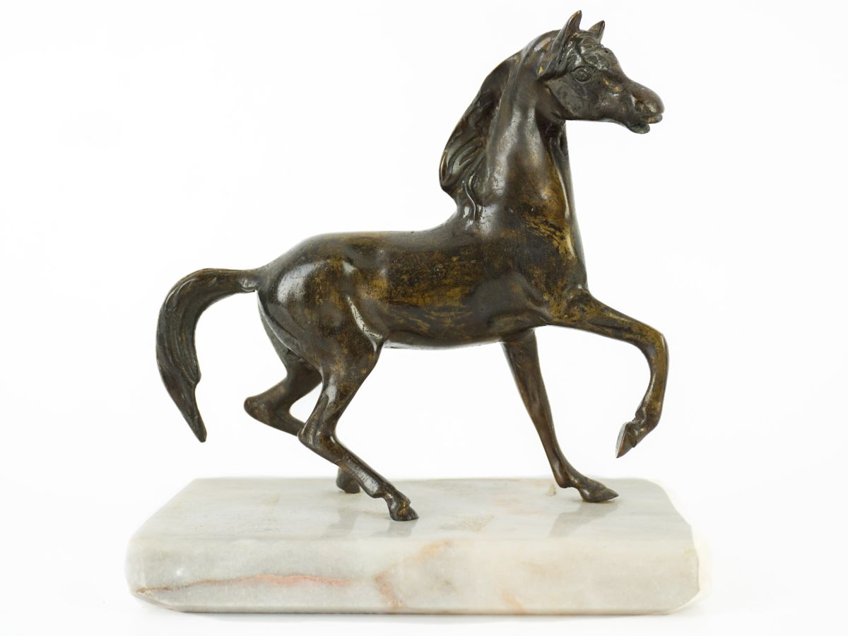Cavalo