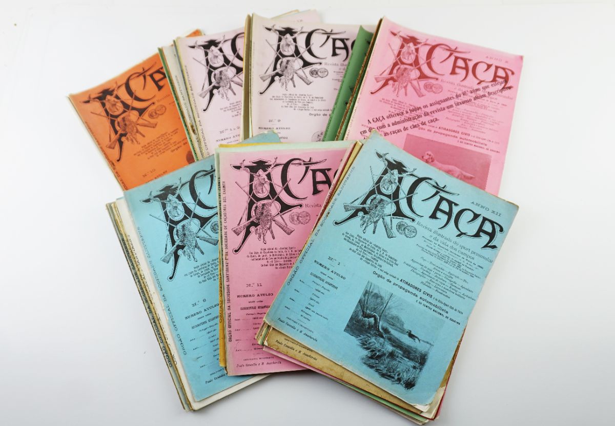Revista A Caça