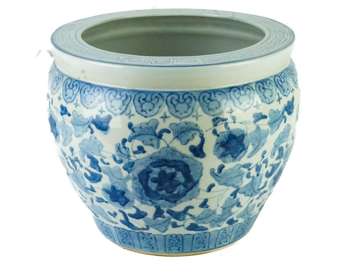 Aquário chinês
