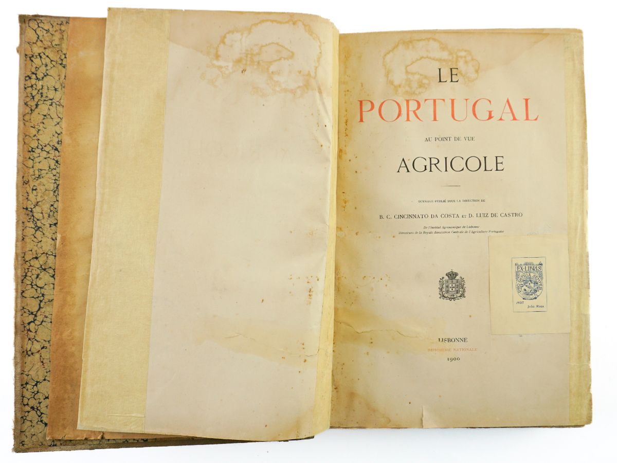 Le Portugal Au Point de Vue Agricole