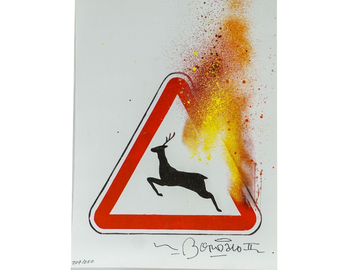 Bordalo II