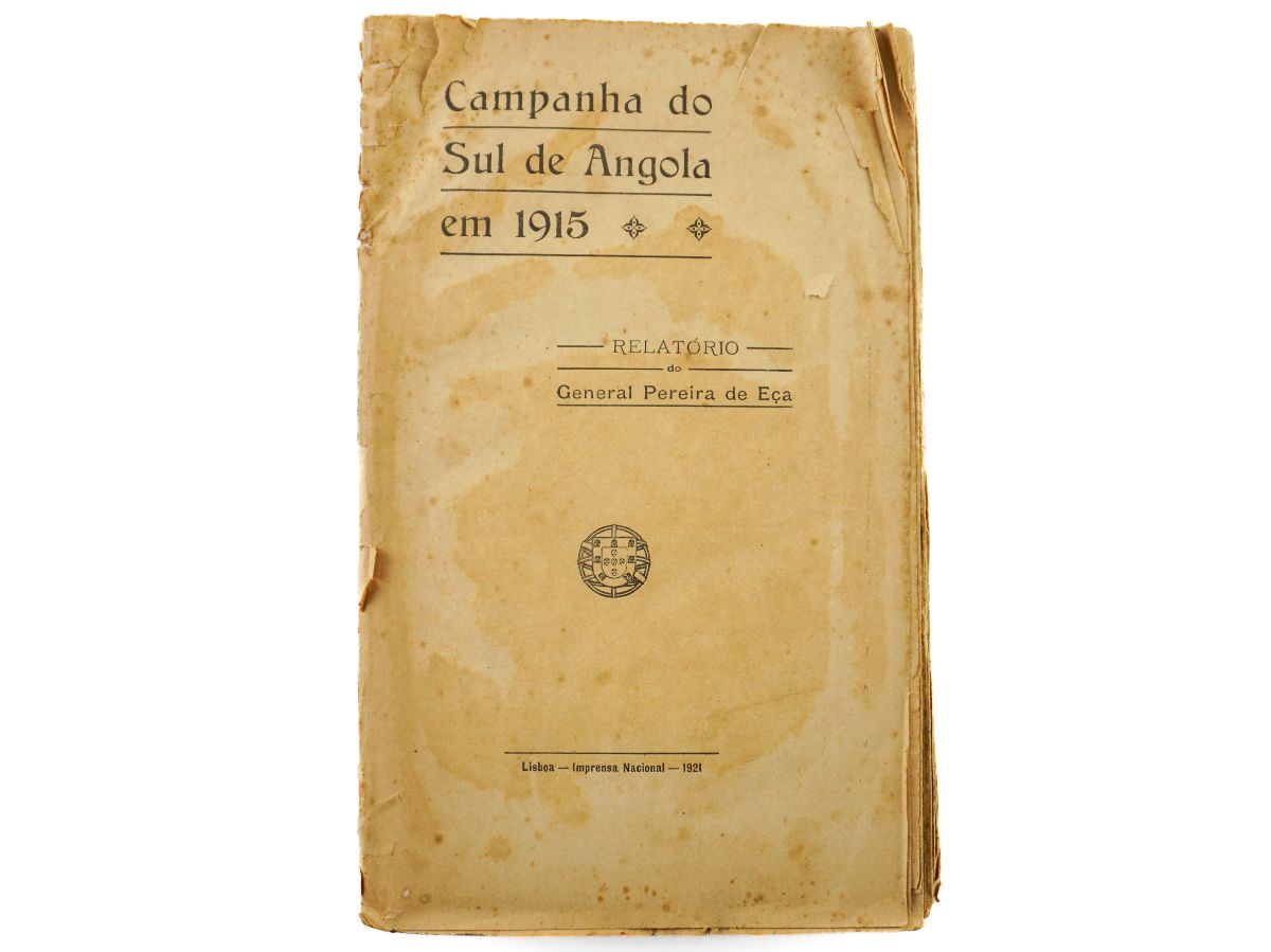 Campanha do Sul de Angola em 1915 