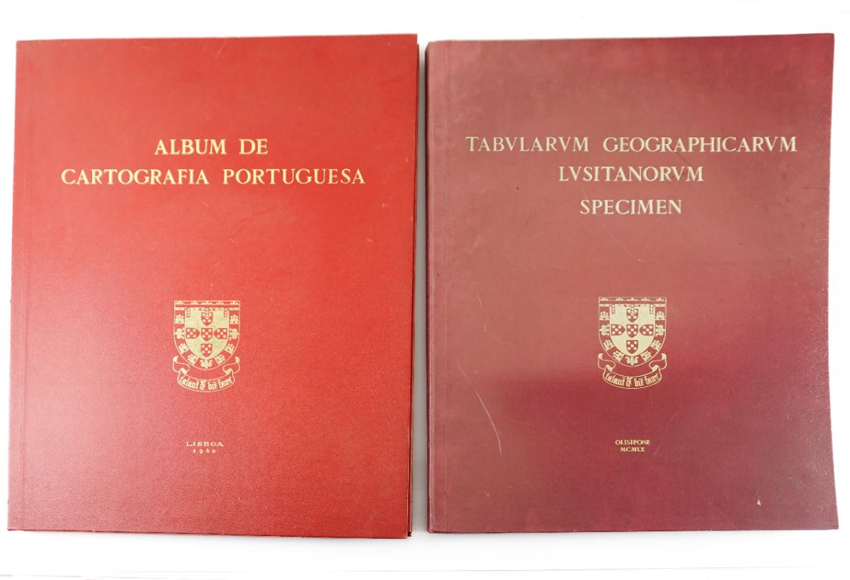 Cartografia