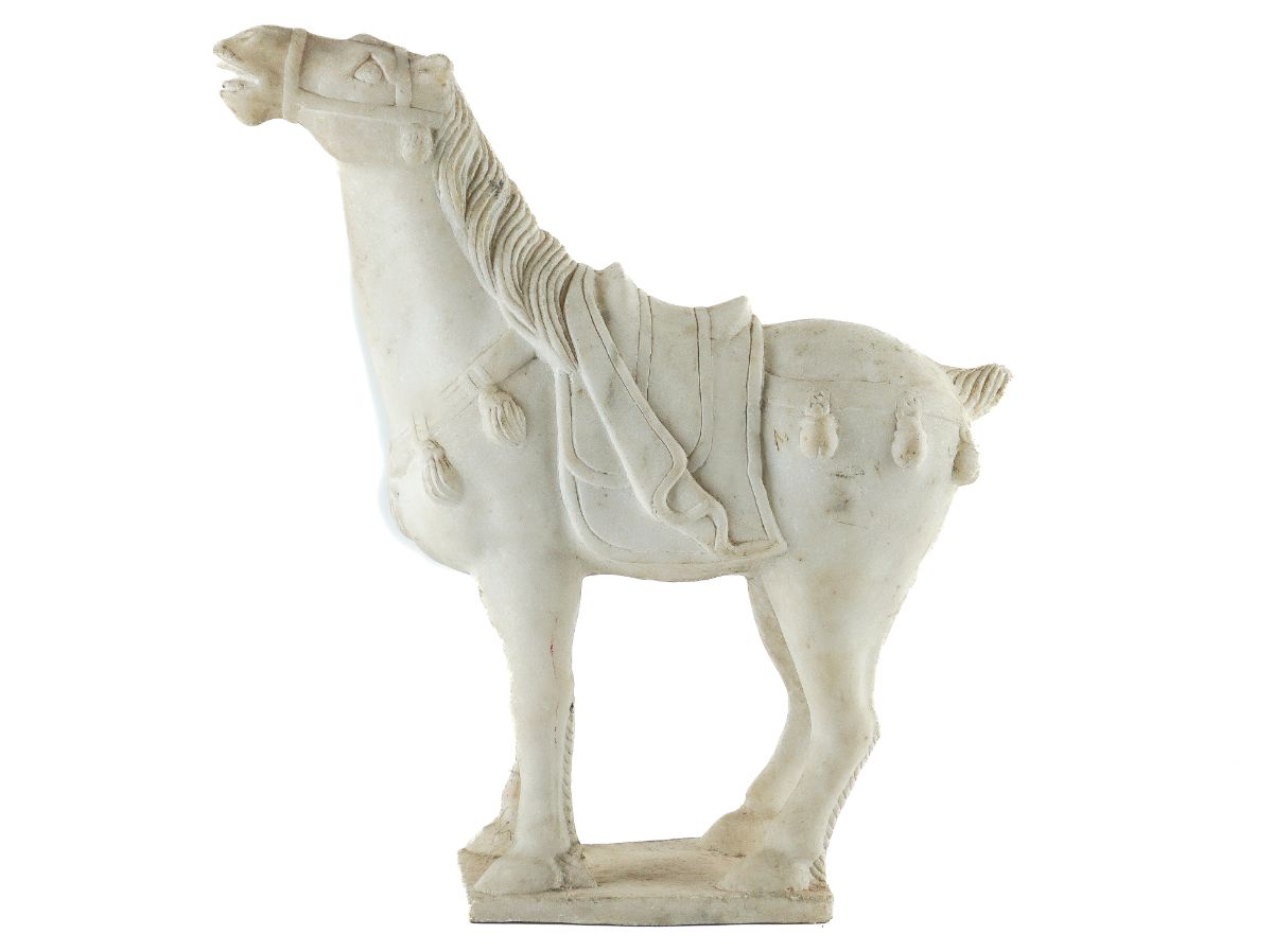 Cavalo