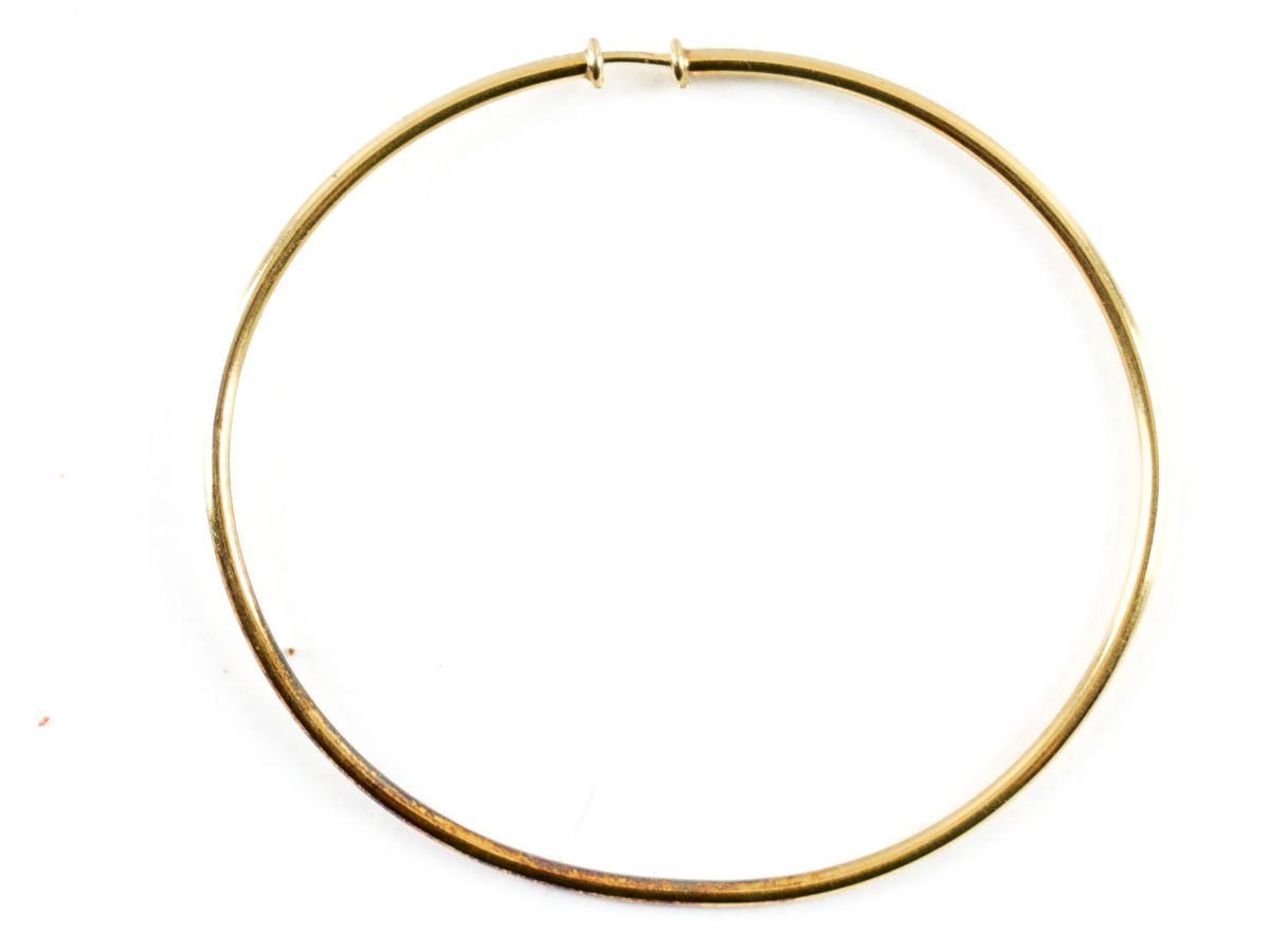Brinco (argola)