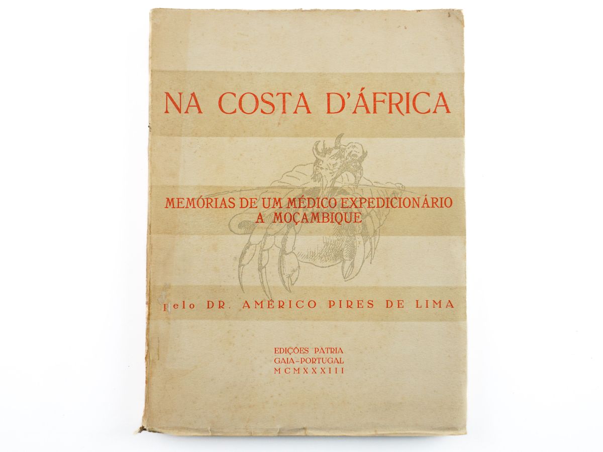Memórias sobre a Grande Guerra em Moçambique