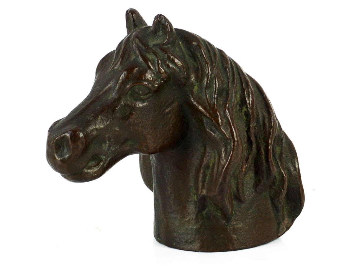 Cabeça de cavalo