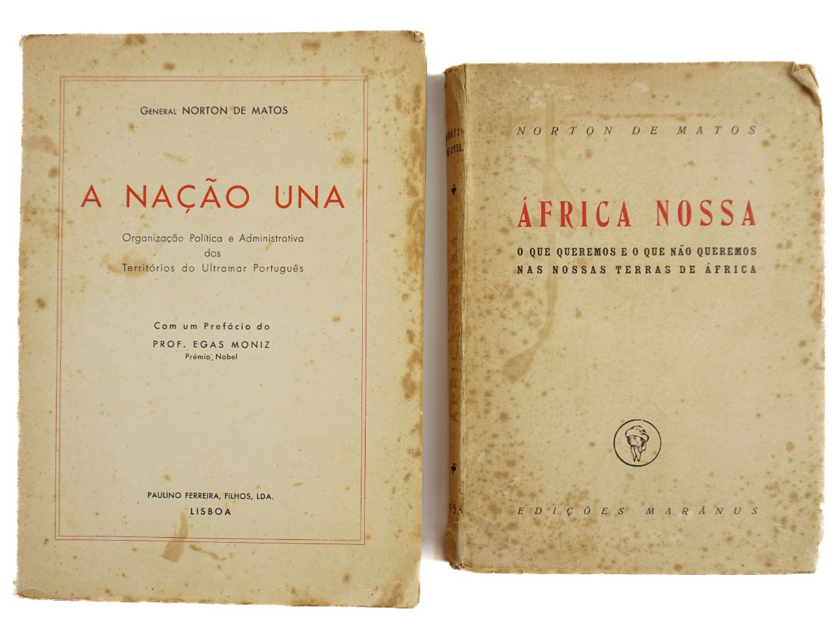 Norton de Matos e África